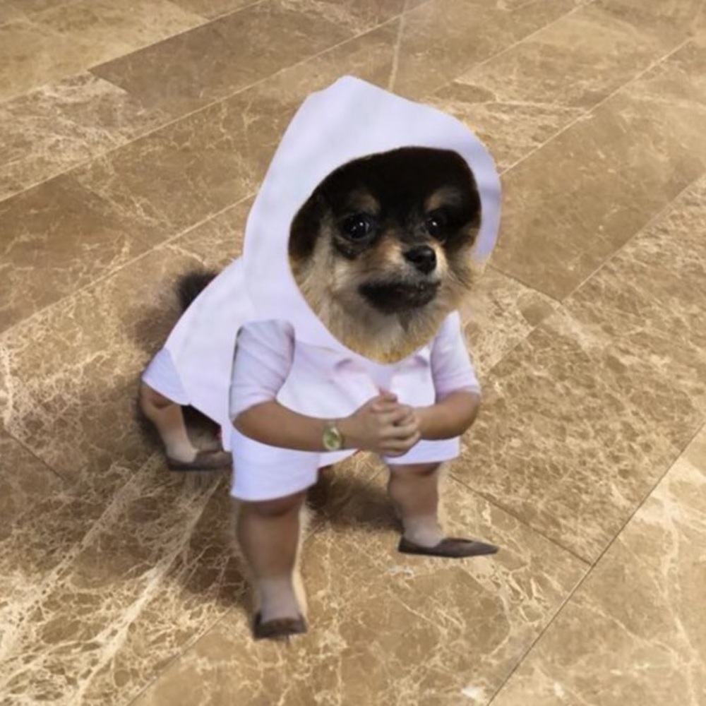 Meet your Posher, Aiya